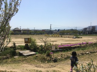 7B27353A-0407-4DB7-A424-DD9D43F1C4C0.jpeg